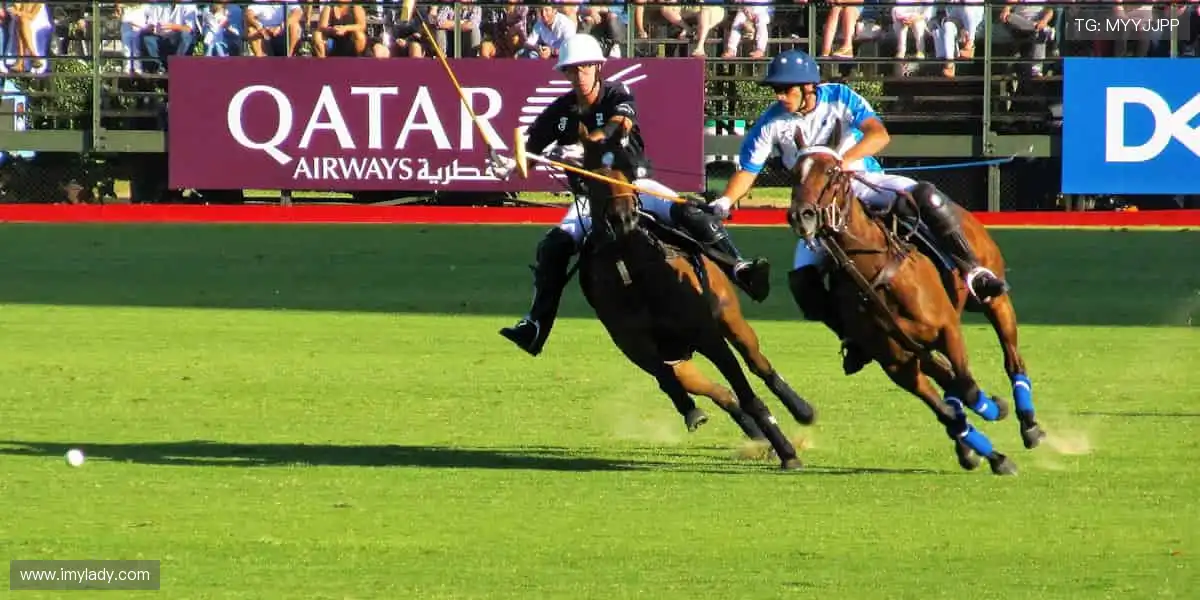 体育周边，冠军同款，你的专属装备库！🏆🎯